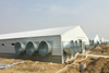 Steel Poultry House